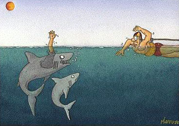 shark with an arm on top of his fin