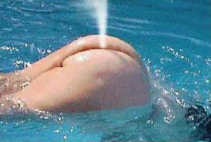 friendship whale