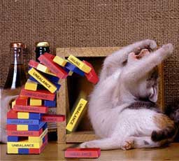 cat playing jenko