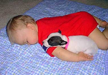baby and puppy