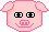 piggy