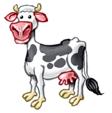 calf