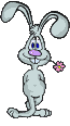 hare