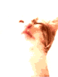 dog licking screen