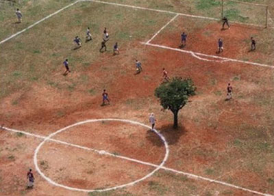 tree in middle of pitch
